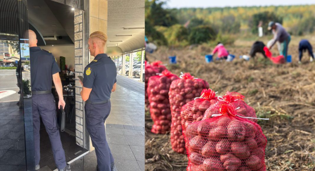 Image Source- ABF and Canva