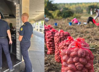 Image Source- ABF and Canva