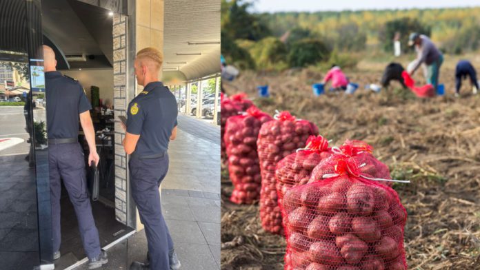 Image Source- ABF and Canva