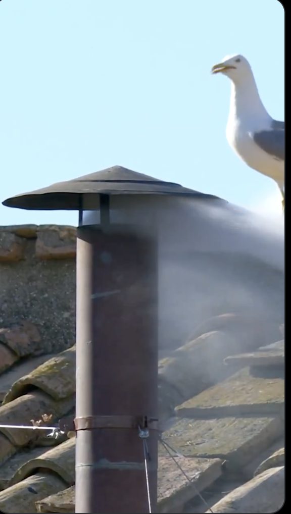 Screenshot 2025 05 09 at 10.30.54 am 1