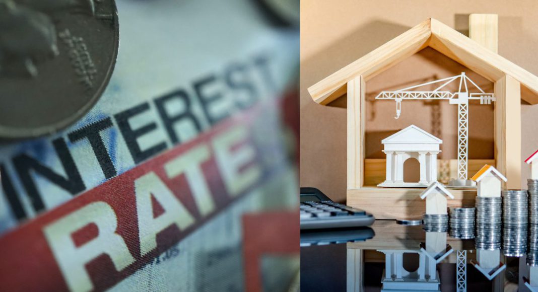 Image Source: CANVA Image Source: CANVA