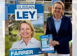 Sussan Ley makes history as first female Liberal leader after narrow win over Angus Taylor