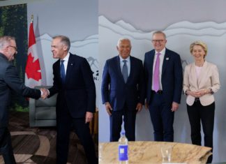 Albanese strengthens global ties at G7 with focus on energy, defence and wildfire response