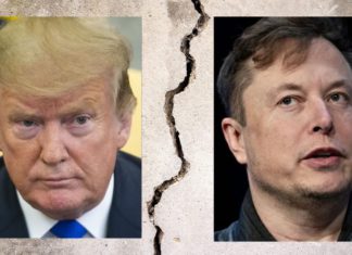 Trump and Musk’s billion-dollar bromance explodes into bitter social media feud