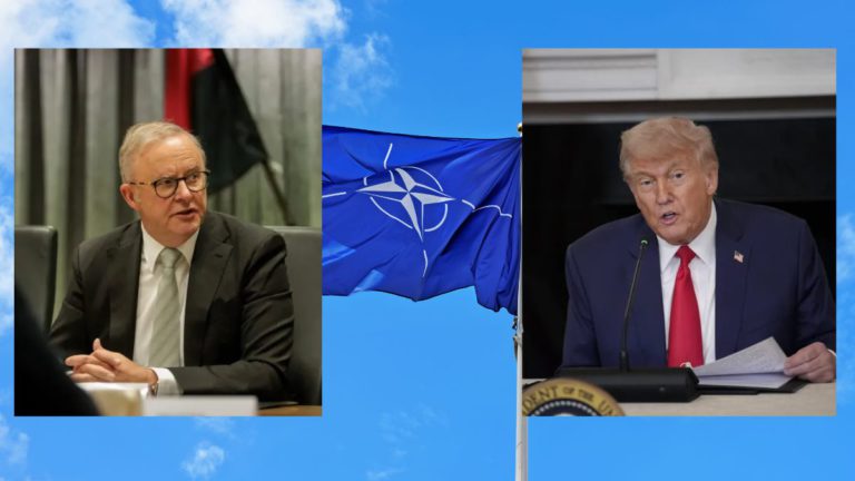 Albanese decides against pursuing Donald Trump to NATO