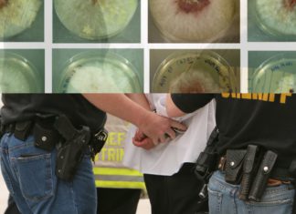 Chinese researchers arrested for smuggling deadly agro-fungus into US, confirms FBI’s Kash Patel