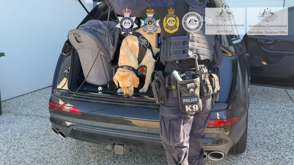 Technology detection dog 4