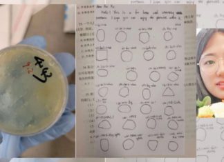 Chinese scientist from Wuhan charged with smuggling biological materials into US amid growing security concerns