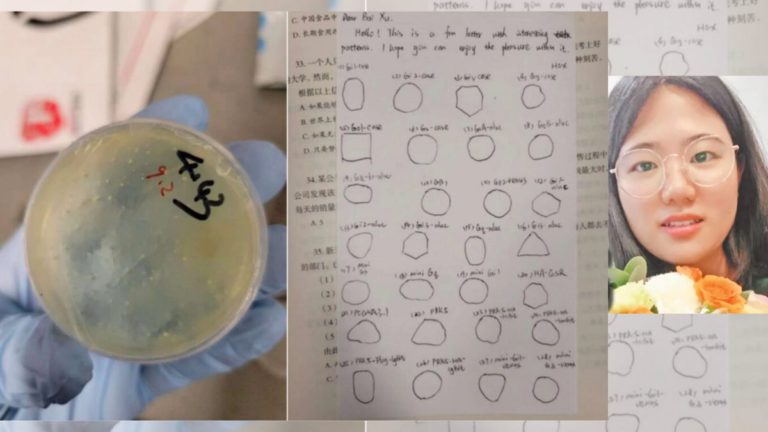 Chinese scientist from Wuhan charged with smuggling biological materials into US amid growing security concerns