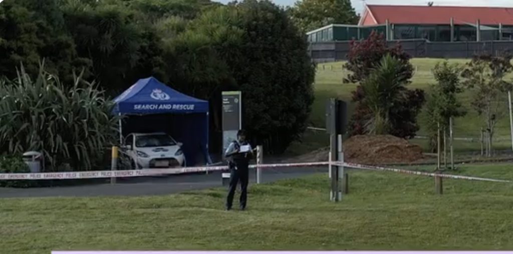 Ramandeep Singh; Image Source: NZ Hearld