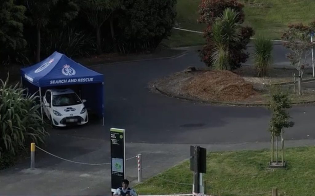 Ramandeep Singh; Image Source: NZ Herald