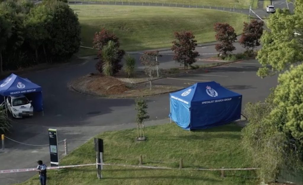 Ramandeep Singh; Image Source: NZ Herald