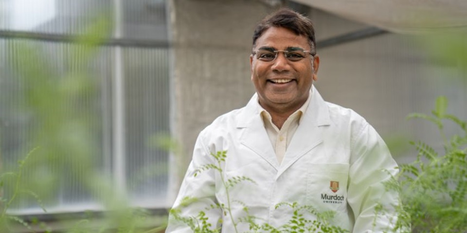 rajeev fellow 860 480px.tmb 960 banner 1