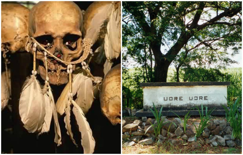 74205 most prolific cannibal header 1