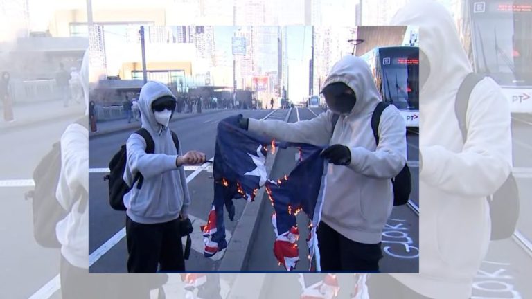 Hindu Council condemns Australian flag burning at Gaza rally