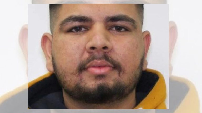 Wanted truck driver Navjeet Singh arrested at airport over crash that killed mother and daughter