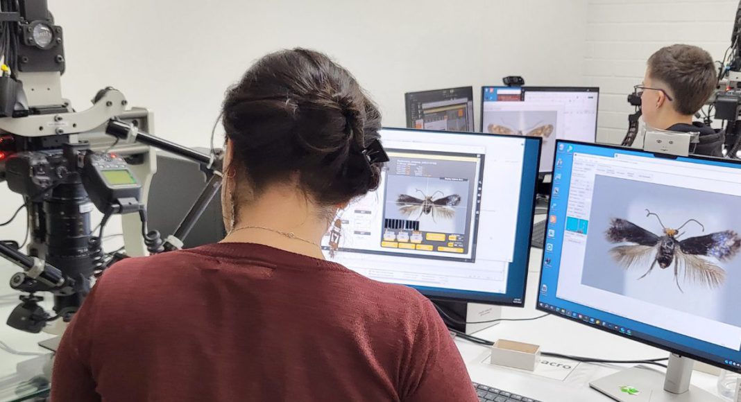 Image: Digitisation supports biosecurity, busfire recovery, environmental management and future science (Source: CSIRO)