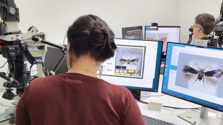 Inside the $90 million vault guarding 13 million pieces of Australia’s natural history