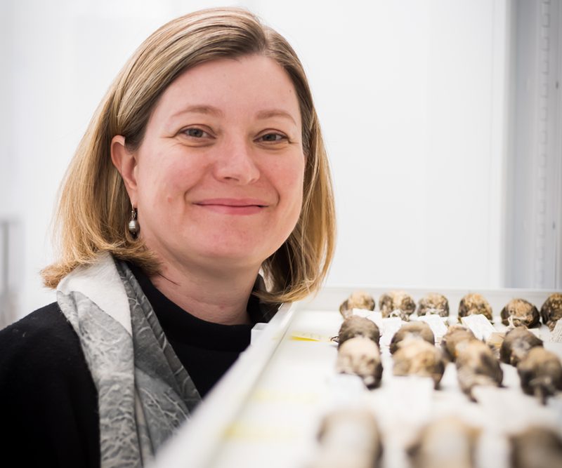 Inside the $90 million vault guarding 13 million pieces of Australia’s natural history 4 DrClareHolleley bird vault in Diversity 9Jul2025 byCarlDavies crop 4