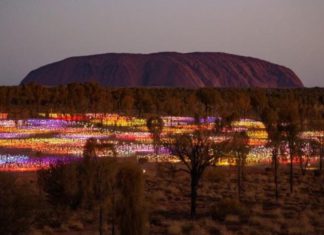 Image Source- Field of Light, Uluru-Kata Tjuta National Park, Northern Territory © Tourism Australia