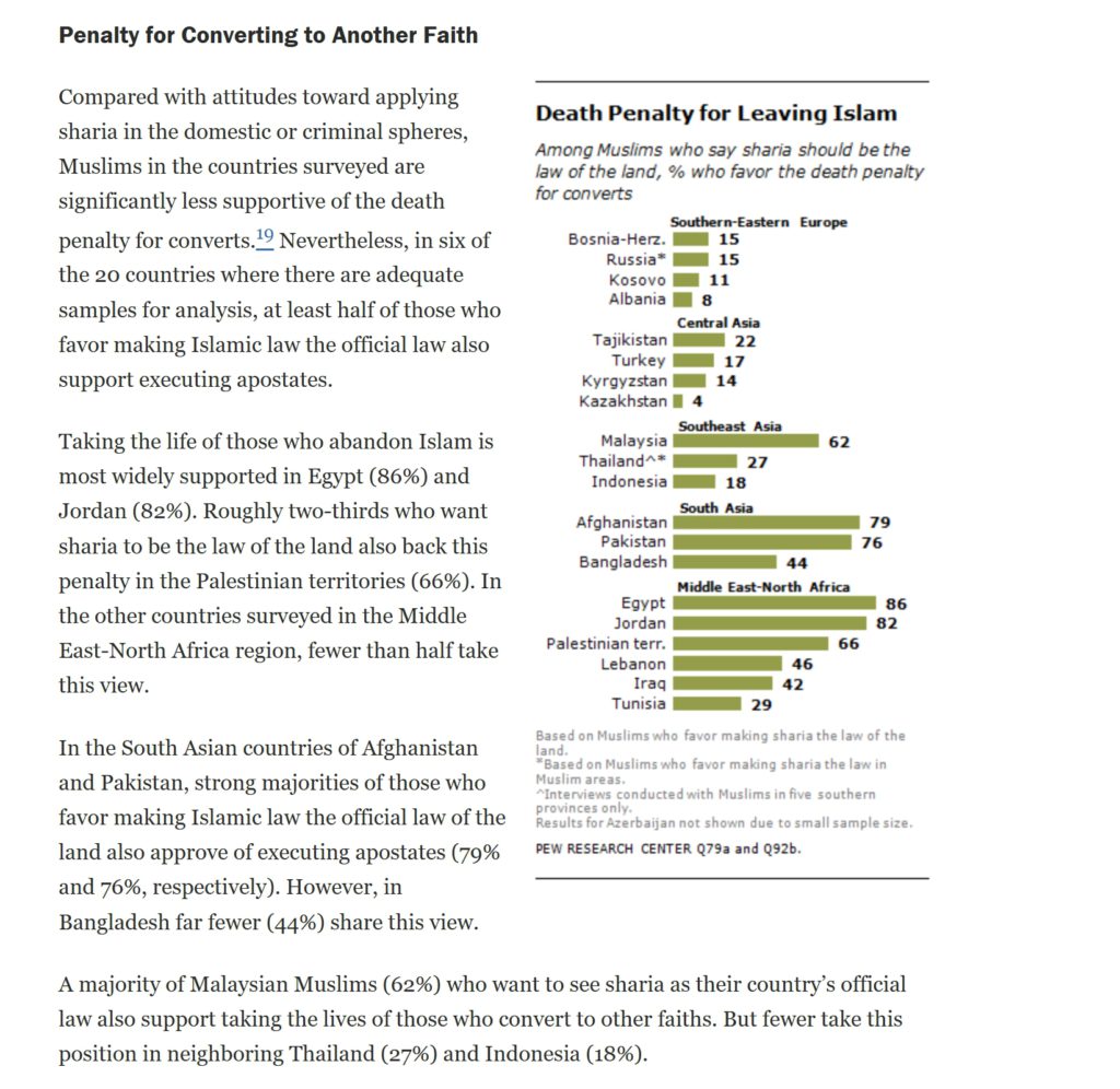 Screenshot 30 8 2025 22530 www.pewresearch.org 17