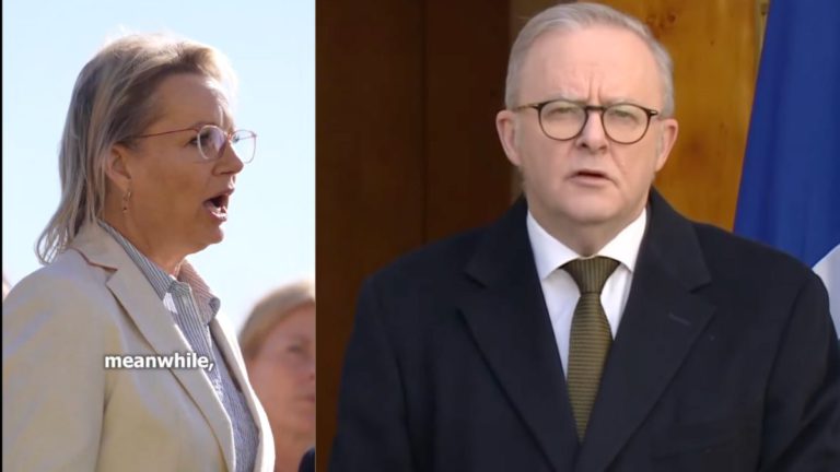 ‘Praised by terrorists’: Albanese under fire over Palestinian recognition decision