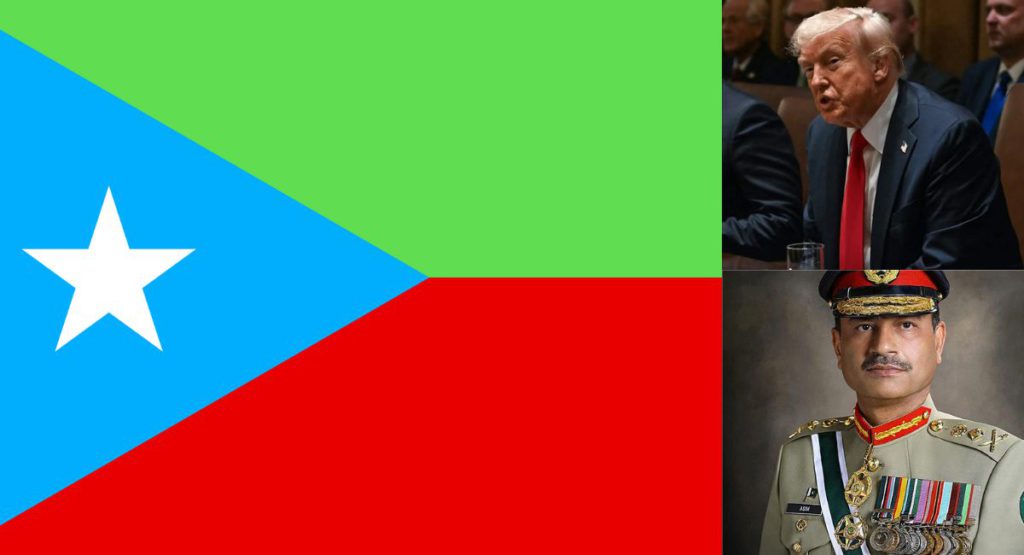 Untitled design 35 2