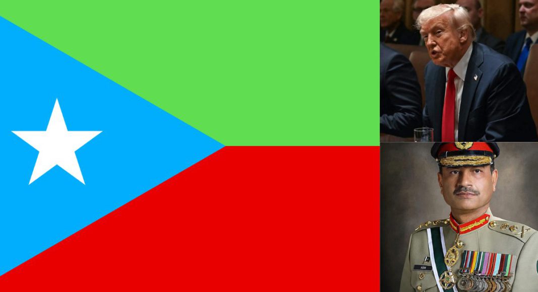 Image: X, Wikipedia,FB