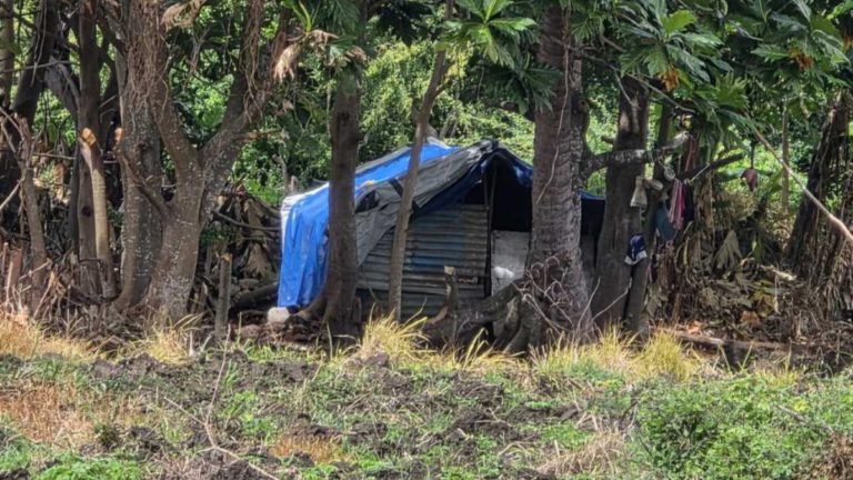 Fiji police nab Bangladeshi worker who overstayed visa and went into hiding