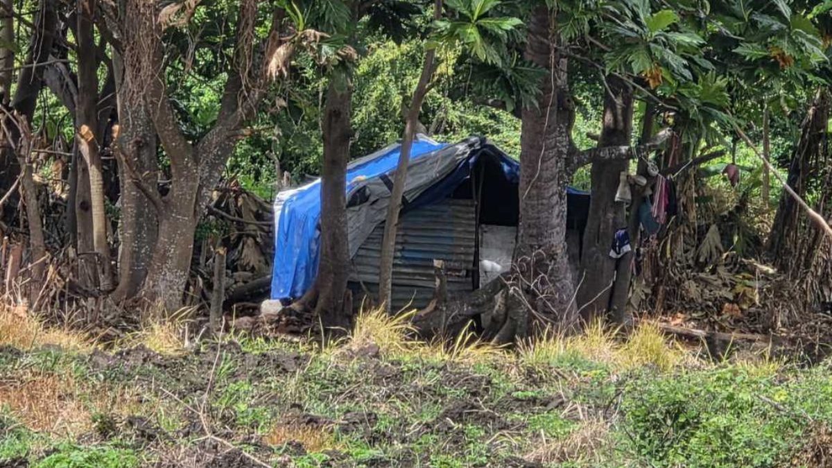Fiji police nab Bangladeshi worker who overstayed visa and went into ...