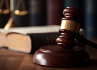 Indian national jailed for sexual offences against 12-year-old girl in Hobart loses bid to avoid deportation