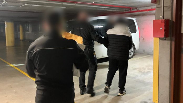 Image Source: Supplied/ABF Image Source: Supplied/ABF