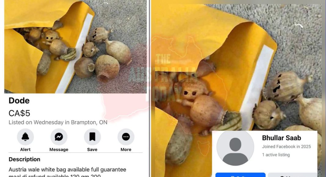 The Australia Today The Australia Today