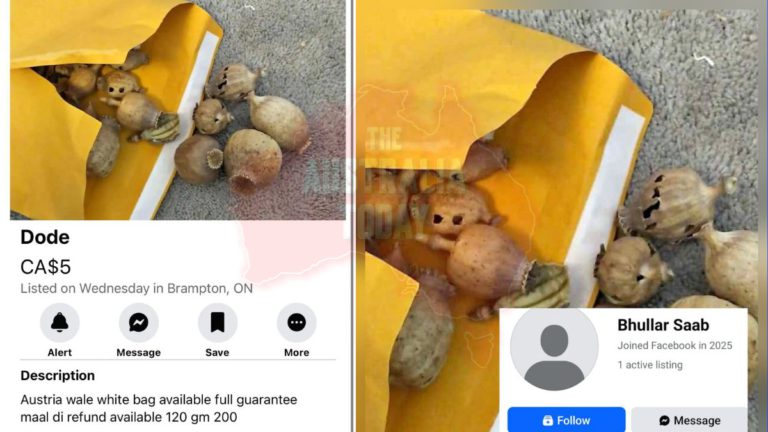 Punjabi community alarmed as banned opiate ‘doda’ openly sold on Facebook Marketplace