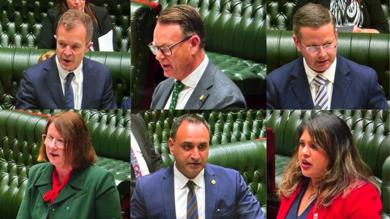 NSW Parliament unites to recognise the contributions of the Australian-Indian community