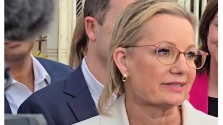 Sussan Ley apologises to Indian Australians for Jacinta Price’s comments