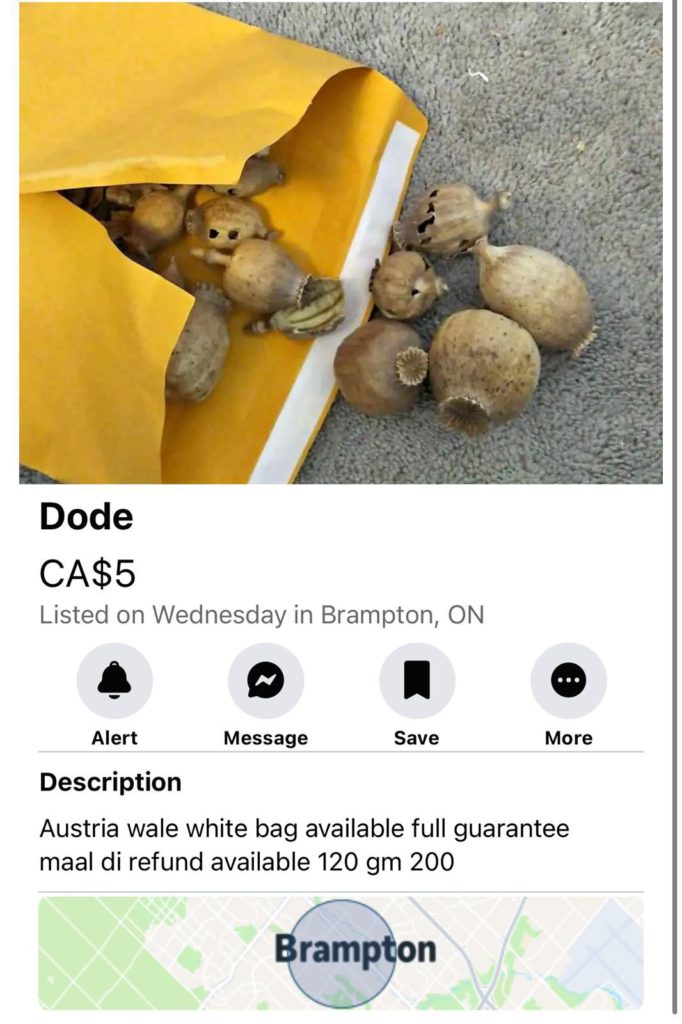 Punjabi community alarmed as banned opiate 'doda' openly sold on Facebook Marketplace 1 image 4 1
