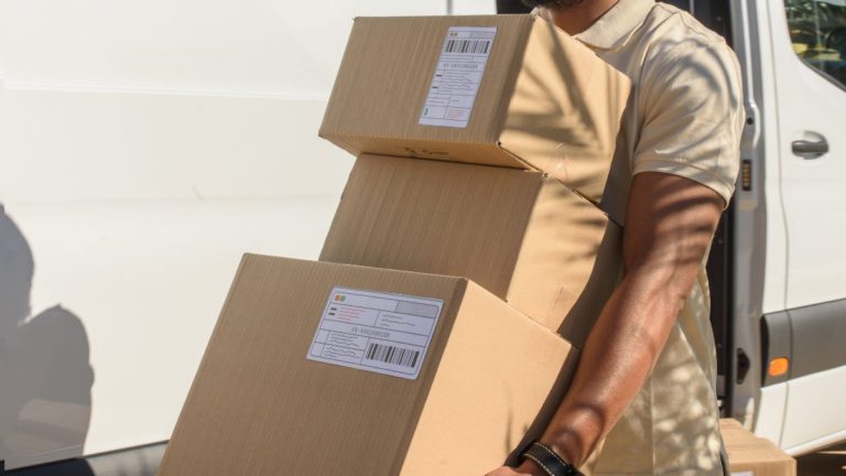 Eight men arrested in alleged $400,000 mail theft in Canada, deportation to India under review