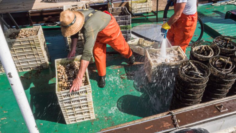 Nineteen Indonesian fishers plead guilty after illegal catch seized in Australian waters