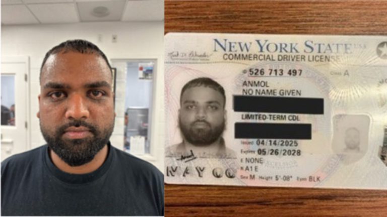 Illegal Indian immigrant using “No Name Given Anmol” New York truck licence arrested, faces deportation