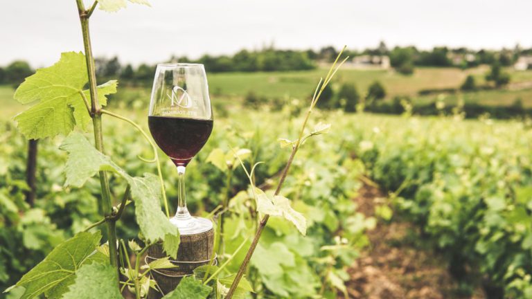 Victoria invests in innovation and exports with new wine strategy