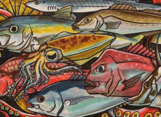 Maya’s colourful design to feature on Victoria’s new fishing licence