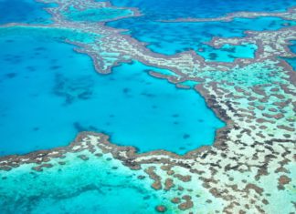 Since 2020, 4 of Australia’s natural World Heritage properties have deteriorated