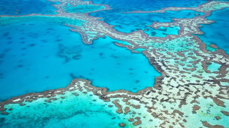 Since 2020, 4 of Australia’s natural World Heritage properties have deteriorated