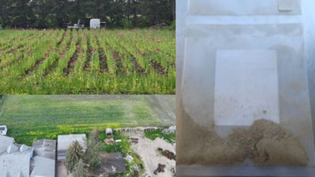 Copy of Untitled 1200 x 675 px 58 1