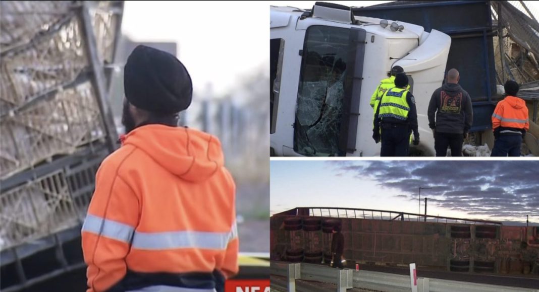 Image Source; 7 News screenshots