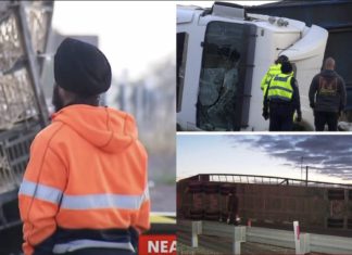 Image Source; 7 News screenshots