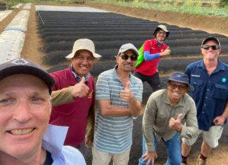 Image: Sprayable Biodegradable Mulch (Source: IPPIN)