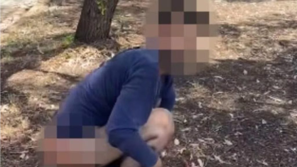‘What are you doing?’: Young man allegedly caught defecating in public 1 Copy of Untitled 1200 x 675 px 1 27 1