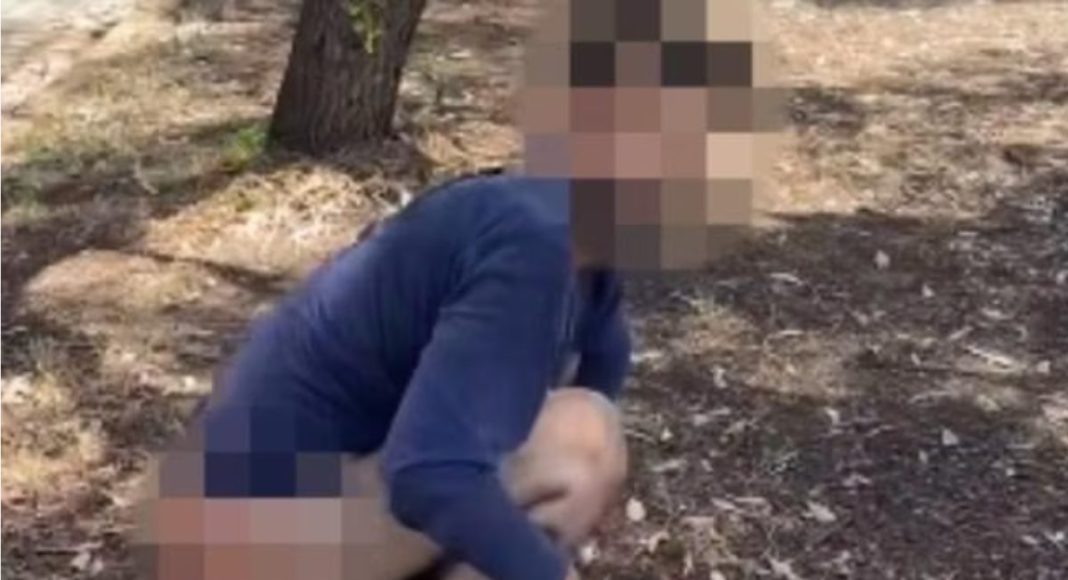 Image: Shocking footage shared online has appeared to show a man being caught defecating in public on a suburban Adelaide street (Source: SkyNews screenshot)